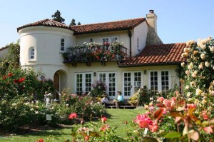 russian river rose