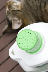 watering can
