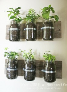 Mason Jar Garden