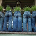 jeans planters
